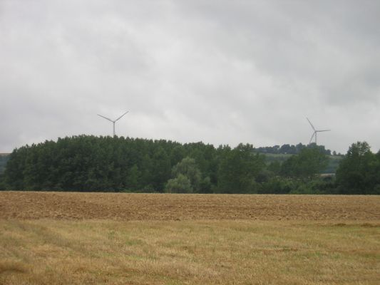 Cliquez pour voir l'image en taille relle