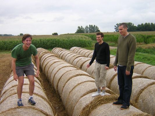 Cliquez pour voir l'image en taille relle