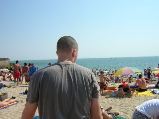 Cliquez pour voir l'image en taille relle